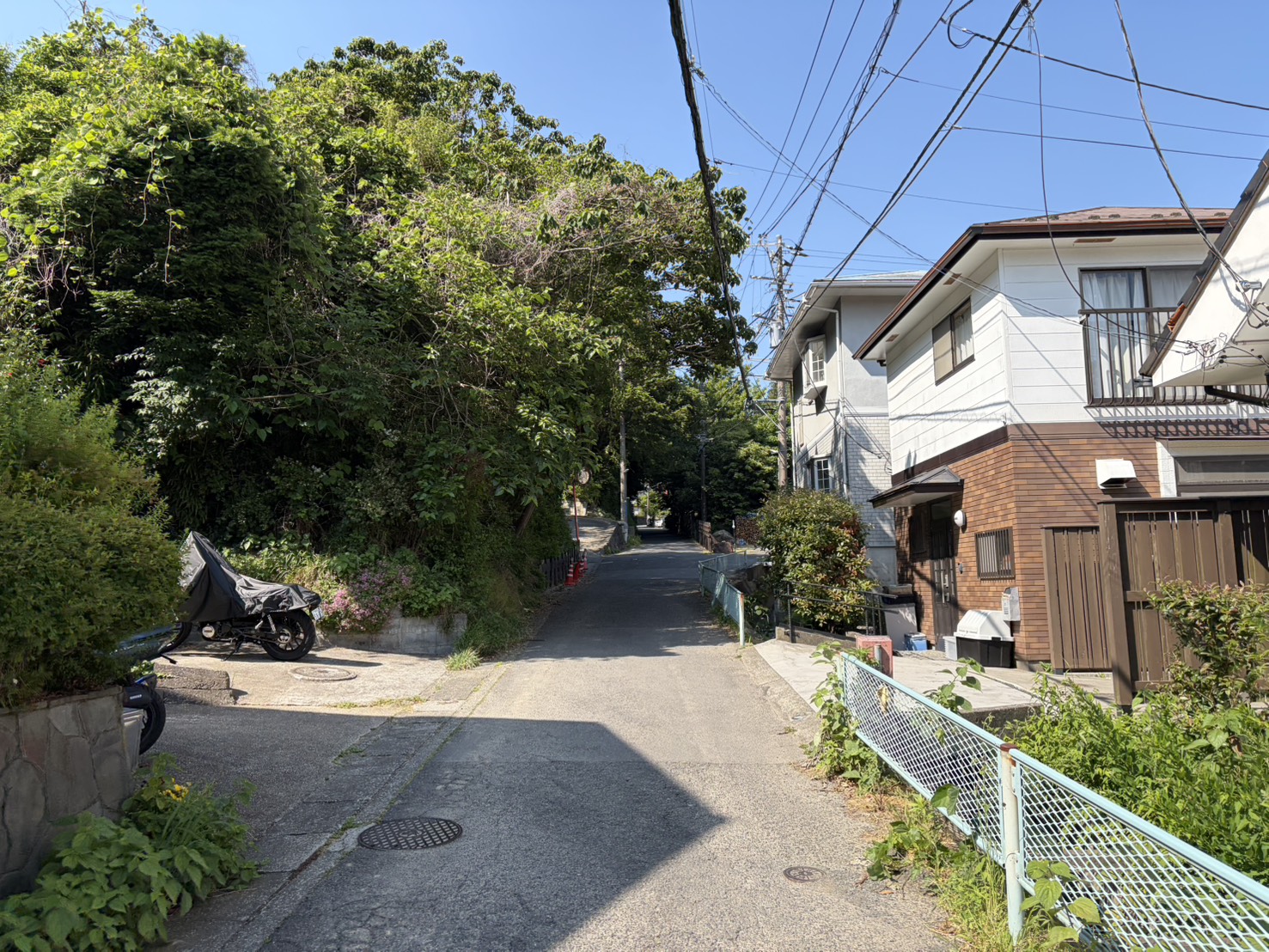 手を加える家、手つかずの自然【中古戸建】 - ココハウス